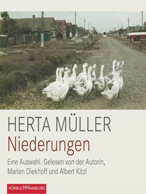 cover image of Niederungen